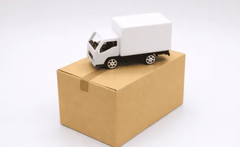 A式カートン（みかん箱）